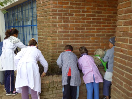 Taller de jardinería